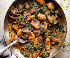 Mushroom Gulistan